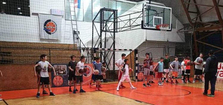 mlađi pioniri pobedili vuk košarkaški klub sava